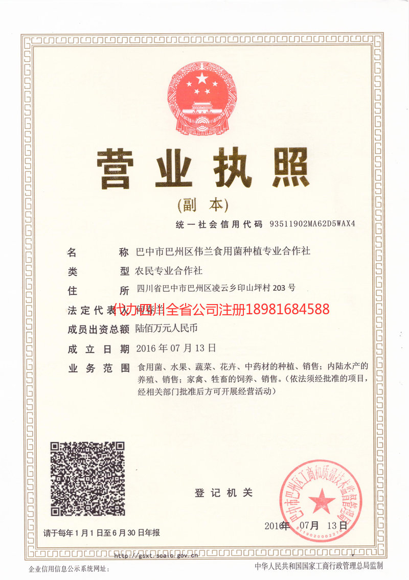 龙口龙口伟兰食用菌种植专业合作社